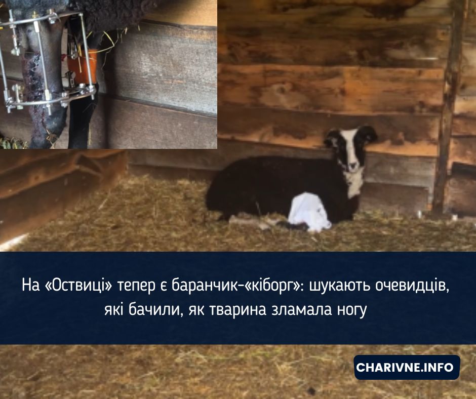 Фото ілюстративне